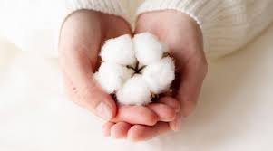Cotton
