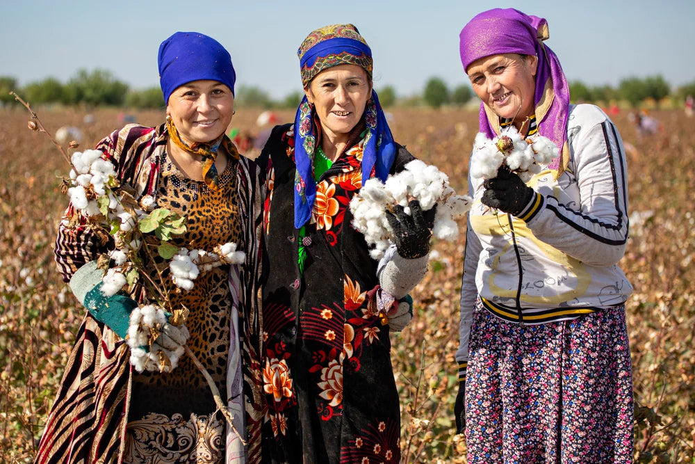 Uzbekistan Cotton