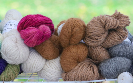Alpaca Wool