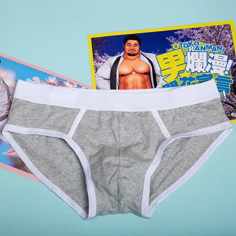 Men Oversize Underwear Briefs Cotton Breathable Male Panties Cueca U Pouch Comfortable Underpants 5 Colors M L XL XXL 3XL 4XL - Cottonese.com
