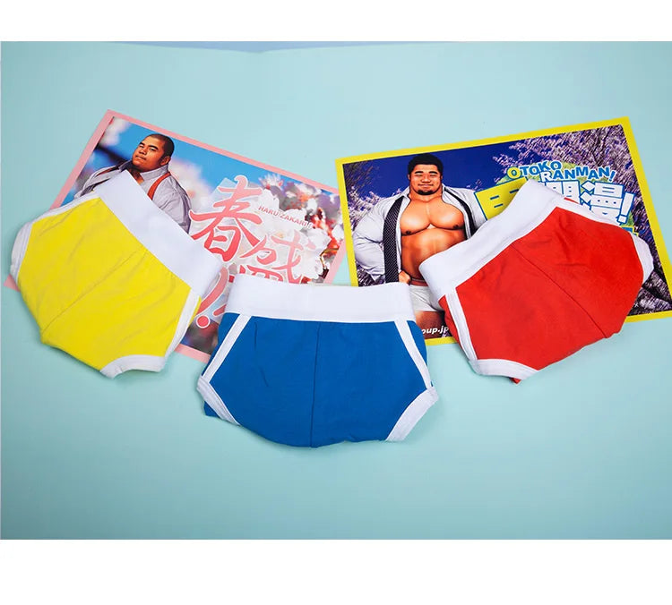 Men Oversize Underwear Briefs Cotton Breathable Male Panties Cueca U Pouch Comfortable Underpants 5 Colors M L XL XXL 3XL 4XL - Cottonese.com