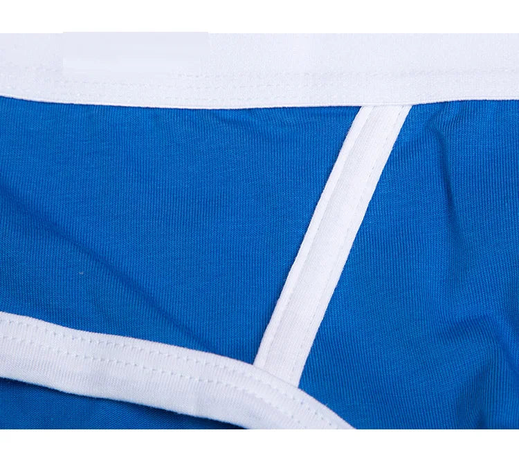 Men Oversize Underwear Briefs Cotton Breathable Male Panties Cueca U Pouch Comfortable Underpants 5 Colors M L XL XXL 3XL 4XL - Cottonese.com